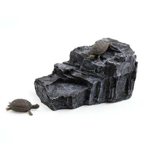 Aquarium roche forme rampe - forme,